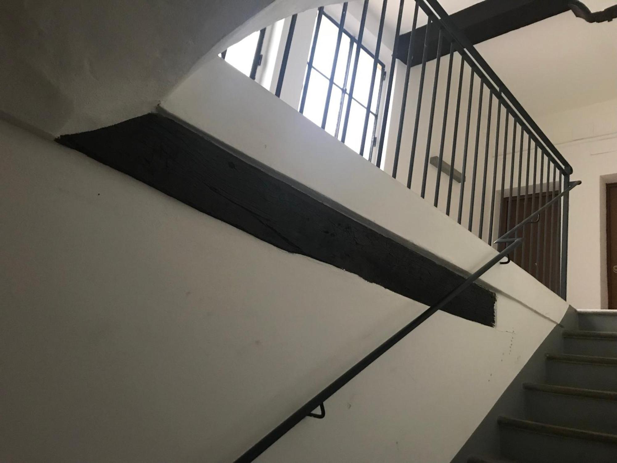 Apartament Domus Modena Zewnętrze zdjęcie